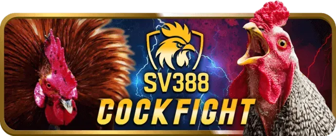 Đa dạng trò chơi cá cược trên ứng dụng t8bet khuyến mãi